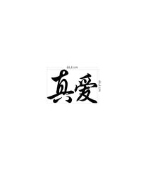 DP-029 Velours Wandtattoo Ewige Liebe 44X66 cm